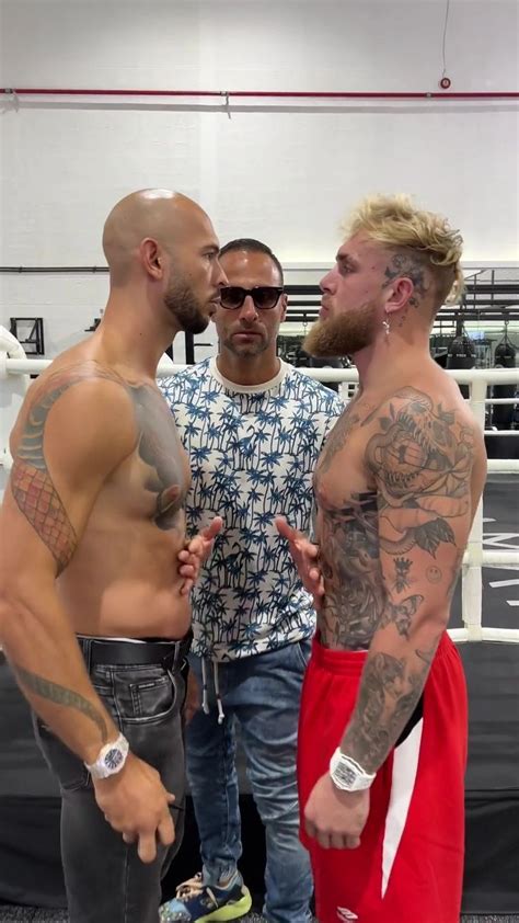 Jake Paul vs Andrew Tate: Will The ‘Cobra ...